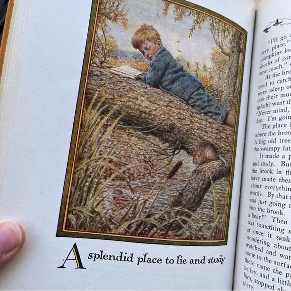 Buddy Jim Vintage 1920 Hardcover Book By Elizabeth Gordon - Picture 9 of 16